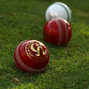 Cricket
