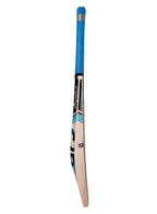 CA Pro 5000 Cricket Bat