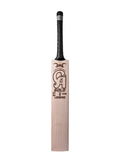 CA Gold Legend English Willow Cricket Bat