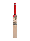 CA Plus 15000/7 Players Edition English Willow Cricket Bat