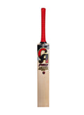 CA Pro 15000 Performance Edition English Willow Cricket Bat