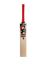 CA Pro 15000 Performance Edition English Willow Cricket Bat