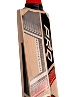 CA Pro 15000 Performance Edition English Willow Cricket Bat