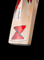 CA Gold 5000 Junior English Willow Cricket Bat