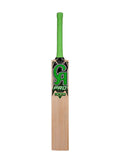 CA 1000 Cricket Bat