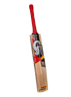 CA Pro 8K English Willow Cricket Bat