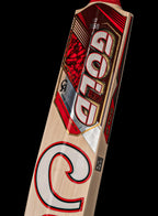 CA International Gold 15000 Players Edition English Willow Cricket Bat