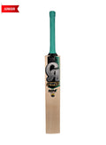CA Pro 10K Junior English Willow Cricket Bat