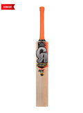 CA Pro 5K Junior English Willow Cricket Bat