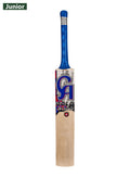 CA Gold 3000 Junior English Willow Cricket Bat