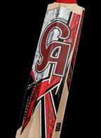 CA Gold 5000 Harrow English Willow Cricket Bat