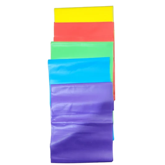 Exercise Resistance Loop Band Set 5 Levels with Box