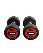 Zeemax Rubber Coated Dumbbells Pair