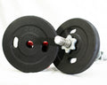 Rubber Coated Weight Plates 1-Inch Hole Pair