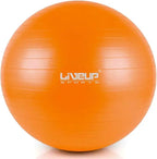 Liveup Anti Burst Gym Ball 65 CM LS3222-65